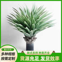 ���������mֲ���҃����b�Ƥ�m�������ԼҾӾGֲ���愦�m�~���l