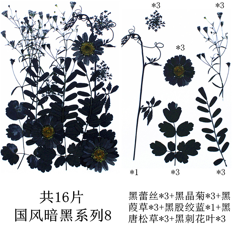 내셔널 스타일 다크 시리즈 8