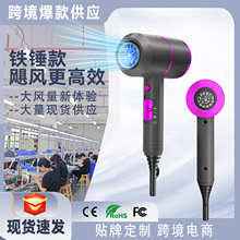 �羳����t�δ��L�C110v�l�Ȍ��I���LͲTEMU���l���ʴ��L�C���l