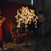 �羳���N���շՇ����Y��[���b�led����l����洹យѻ����