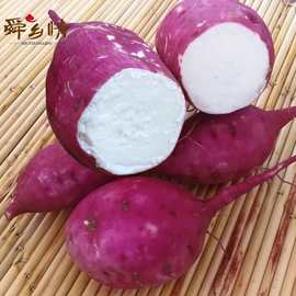 山西板栗红薯新鲜农家自种 运城地瓜香甜粉糯山芋红皮白心番薯5斤