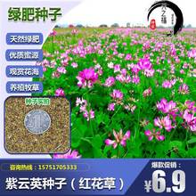 ӢNݾGʼtNuѿ^pB۷ԴN