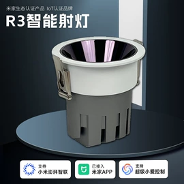 射灯;筒灯;其他室内灯具