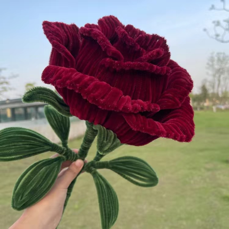 2023_09_19_15_57_IMG_4152