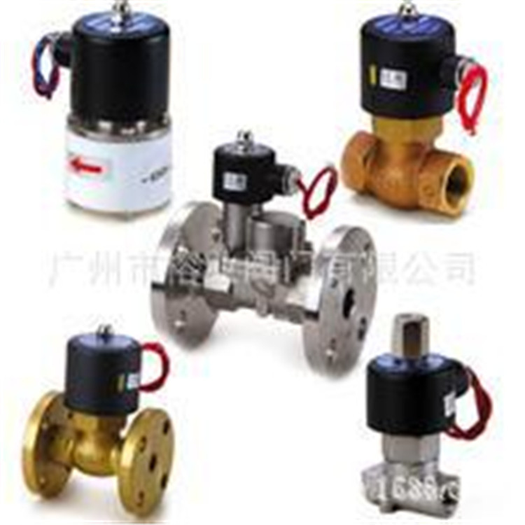 304302K.0302化工加药电磁阀KANGFENG角座阀SANGSAITE  BURKERS