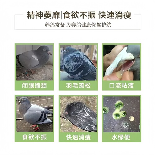 Use Gopengkang Factory to distribute bird-specific vomit, eat, turn head, tilt head, appetite loss, and turn head specifically.