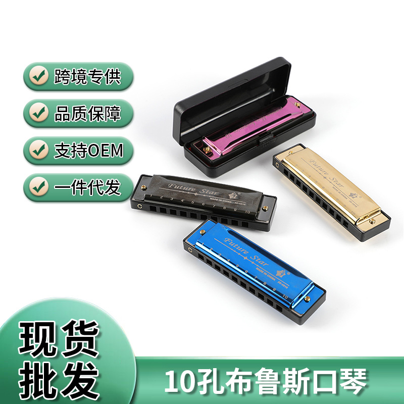 跨境十孔布鲁斯口琴赠塑料盒子ABS初学入门四色口琴10孔blues口琴