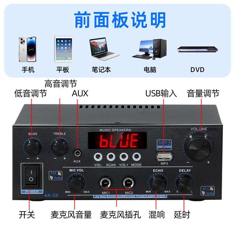 Цифровой HiFi усилитель AK-55 с плоской вилкой