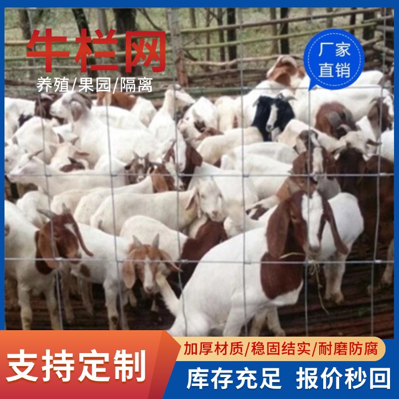 四川厂家养殖网护栏网钢丝网牛栏网草原围栏牛羊用网定制铁丝网
