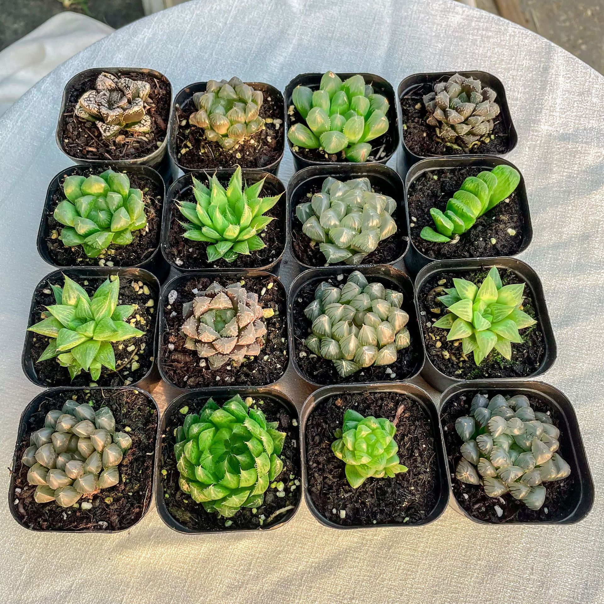 微信图片_202109281037482