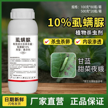 10%ʭ�\�嚢�x�����{���^�����ҹ�껨�˰ײ˲����x�����rș��Ʒ