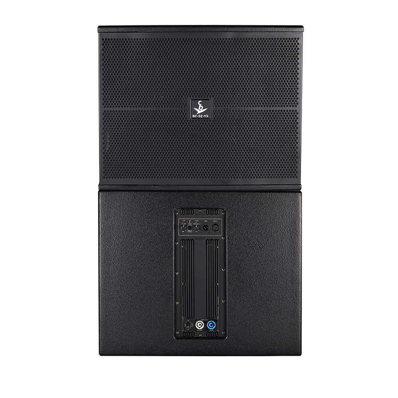 Subwoofer Activo de 15 Pulgadas para Cabina de Karaoke, DJ, Actuaciones en Escenario, Subwoofer Activo, Super Subwoofer