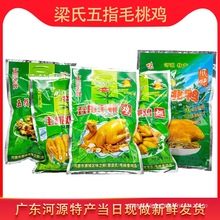 五指毛桃香鸡河源正宗客家特产即食鸡肉零食梁氏熟食零食当日制作
