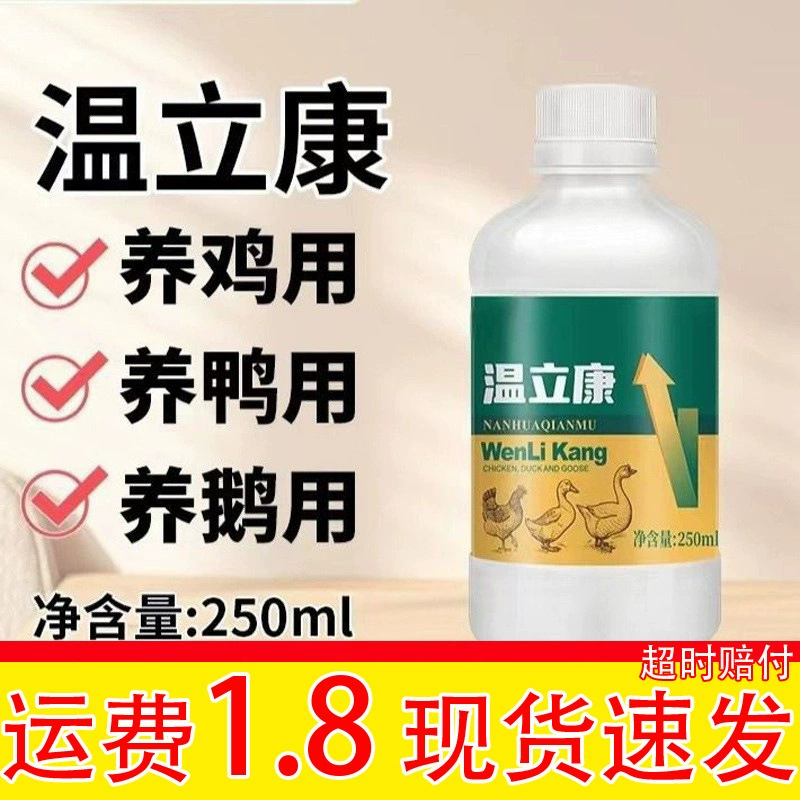 Куры, утки, гуси, домашняя птица, голуби Венликан стоят неподвижно, у них сонливость, тоска, перья рыхлые и безжизненные, обычно используются для птицеводства.