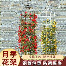 花架爬藤架月季藤架铁线莲蔷薇架子葡萄花园户外阳台支架攀爬架