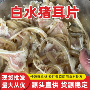 �i����zȫ���i���z�i��Ƭ������u�˵ꌣ��ȫ���ˮ�i���z