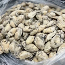 鱼类;贝类;软体类