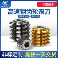 齿轮滚刀A级河冶W6542材料压力角20度滚齿刀M1M4M5高速钢M2