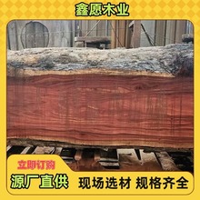 非洲刚果花梨原木 金花梨 亚花梨替代品 非洲花梨木 大板料家具料