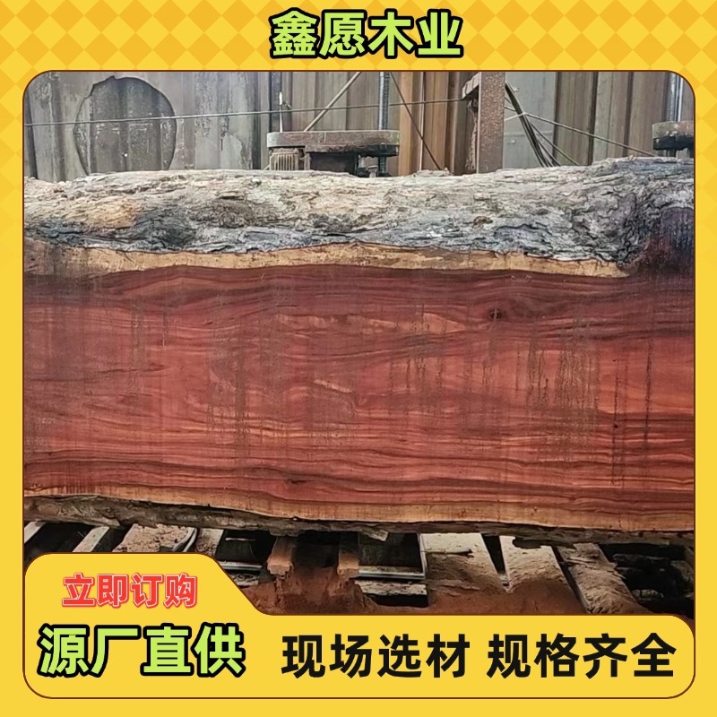 非洲刚果花梨原木 金花梨 亚花梨替代品 非洲花梨木 大板料家具料