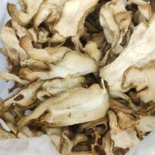 ����Ƭ ��؛��؛ ���ֻ� ���ָɹ� �㙴 ��ș�����l