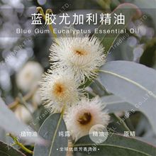 �Ĵ����� | �M�� �ЙC  �{�z�ȼ�������  �η�����  ���l