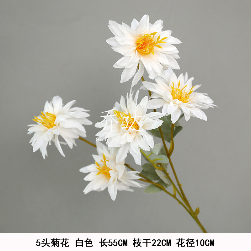 5 cabezas crisantemo
