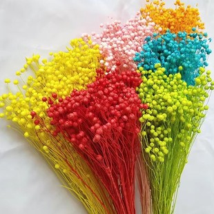 ��˼����������Ȼ�滨���z��޹Ϟ�Tʯ��diy�ɻ����ĺ��鶹���F��