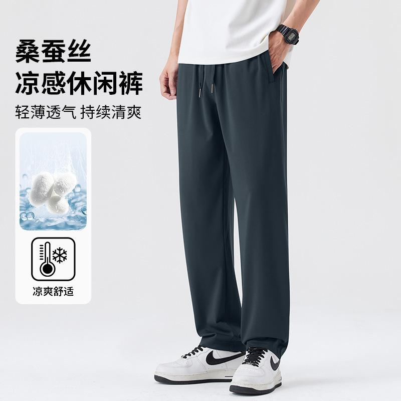 High-End Mulberry Silk Men's Casual Pants 2026 Summer Thin Ice Silk Straight Loose Drape Elastic Waist Long Trousers