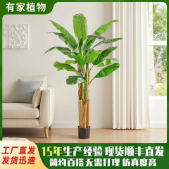 緑植の大型着地の芭蕉の木の鉢植えの室内の屋外の装飾品の偽の植物のバナナの木の盆栽をシミュレーションします。