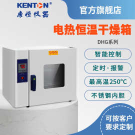 实验精密型电热恒温干燥箱DHG鼓风烘箱台式250度三面热风循环烤箱