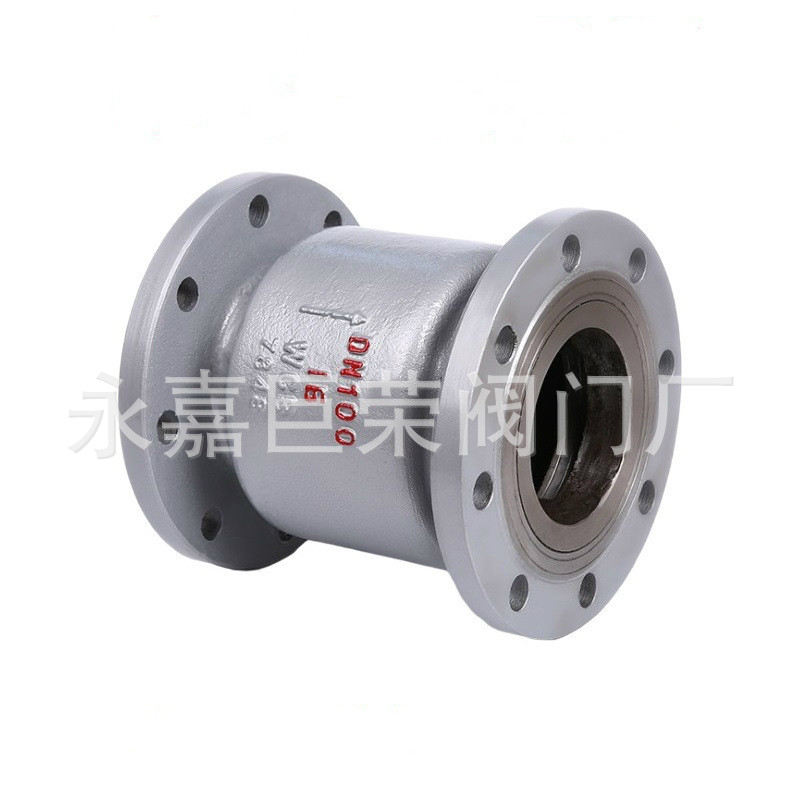 立式止回阀 H42H-16C 弹簧立式止回阀 H42H 浙江南高阀门厂