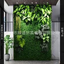 ���p���w�P������ֲ�1ƽ���|�����w����Gֲ���bGɫ�쾰
