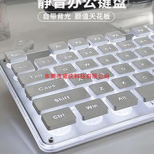 前行者静音键盘真机械手感女生办公有线无线游戏电脑鼠标套装