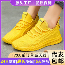 ЬŮļr\Ь͸eЬŮЬһlɫٴЬ