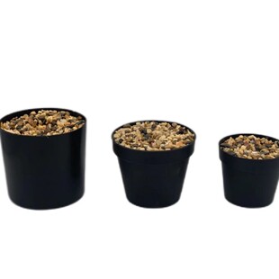 Simulation Green Plant Plastic Flower Special Black Basin Plastic Foam Pebble International Round Basin Desktop Ornaments
