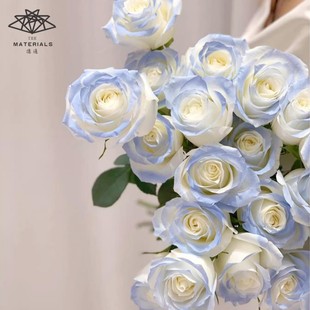 �|ͨ��ˇ��⇊ɫ�� �r���ɻ�õ�廨Ⱦɫ����{��÷���u��ɫ����