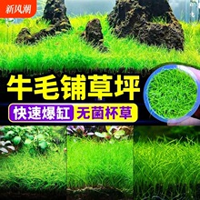 �o����ţëˮ���~���쾰��ƺ��Ƥǰ��������������ذ������