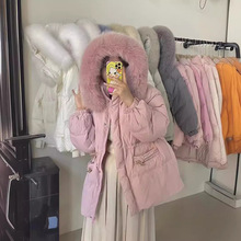 �����ë�I��q��Ů���L��2024�����¿���K�����Ӻ�С�������׳�