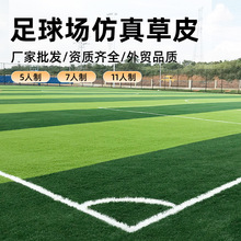 ƺӖ˹ٲƤS׃@Gɫ̺ƺ