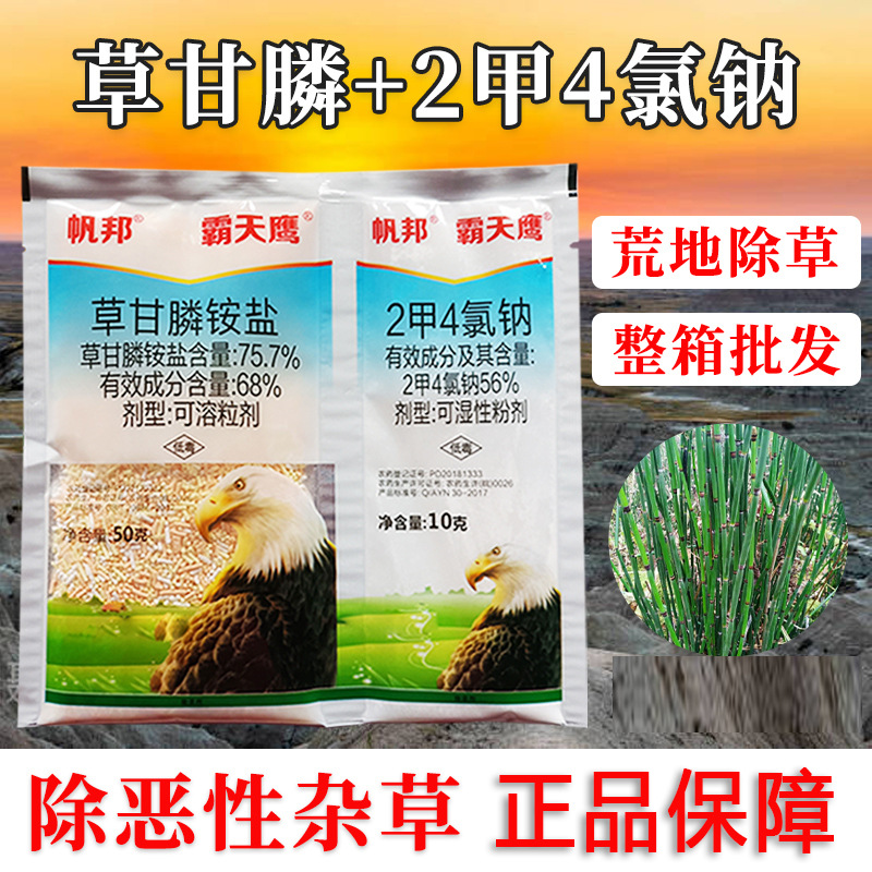 霸天鹰草甘膦铵盐+2甲4氯钠二甲四氯钠果园荒地除草剂草甘磷
