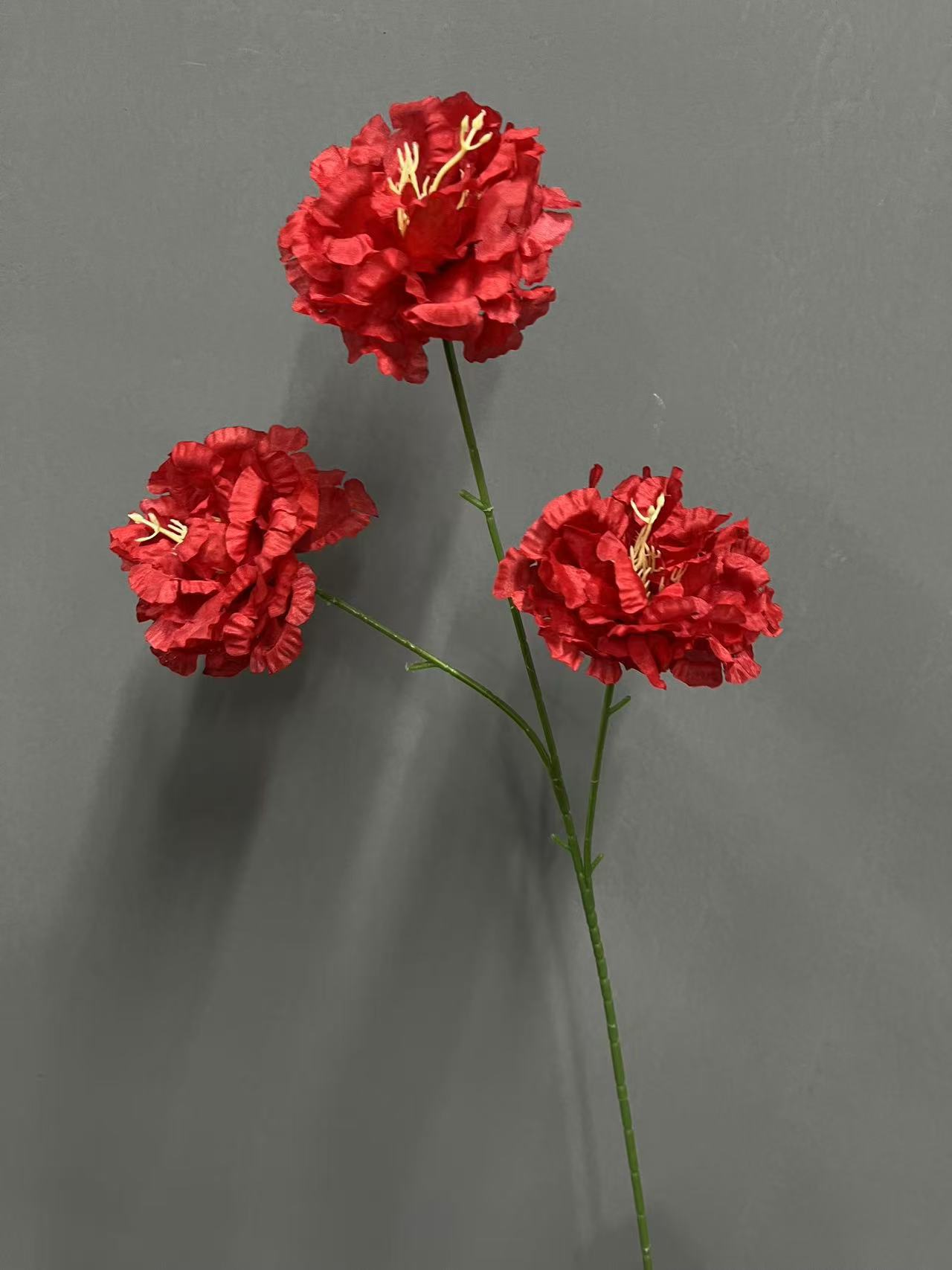 微信图片_20241221160022