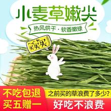 2024宠物兔子草料小麦草干草嫩苗荷兰猪烘干牧草促进肠胃消化200g