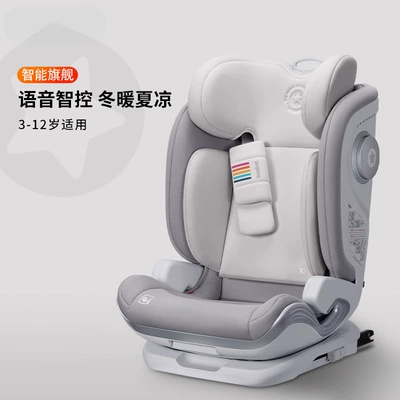 Older Children, Can Be Used for Sitting – Other vehicle seats - sunshine-seagull-grey-smart-ventilation-heating