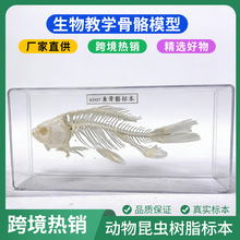 ���н̌W�~�����˱��̌Wչ�d���տ�����������a�~��ǹ�ƴģ��
