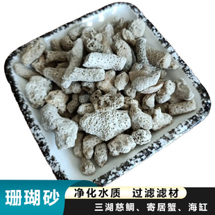 Coral Sand Coral Bone Adjusts Water Quality Filter Material Fish Tank Filtration Landscaping Stabilizes Ph Aquaculture Coral Stone