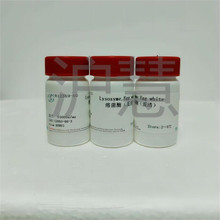 ԇ ܾø壩/|ø/Lysozyme12650-88-3 F؛Ʊ