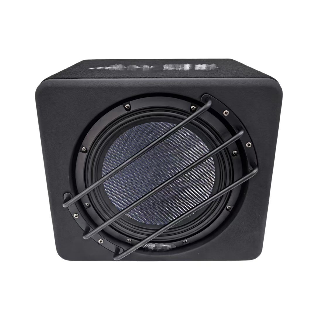 Japan Ev-100Sw3T Woofer 10inch Active Dual Voice Coil Subwoofer High Power Street Box Cannon