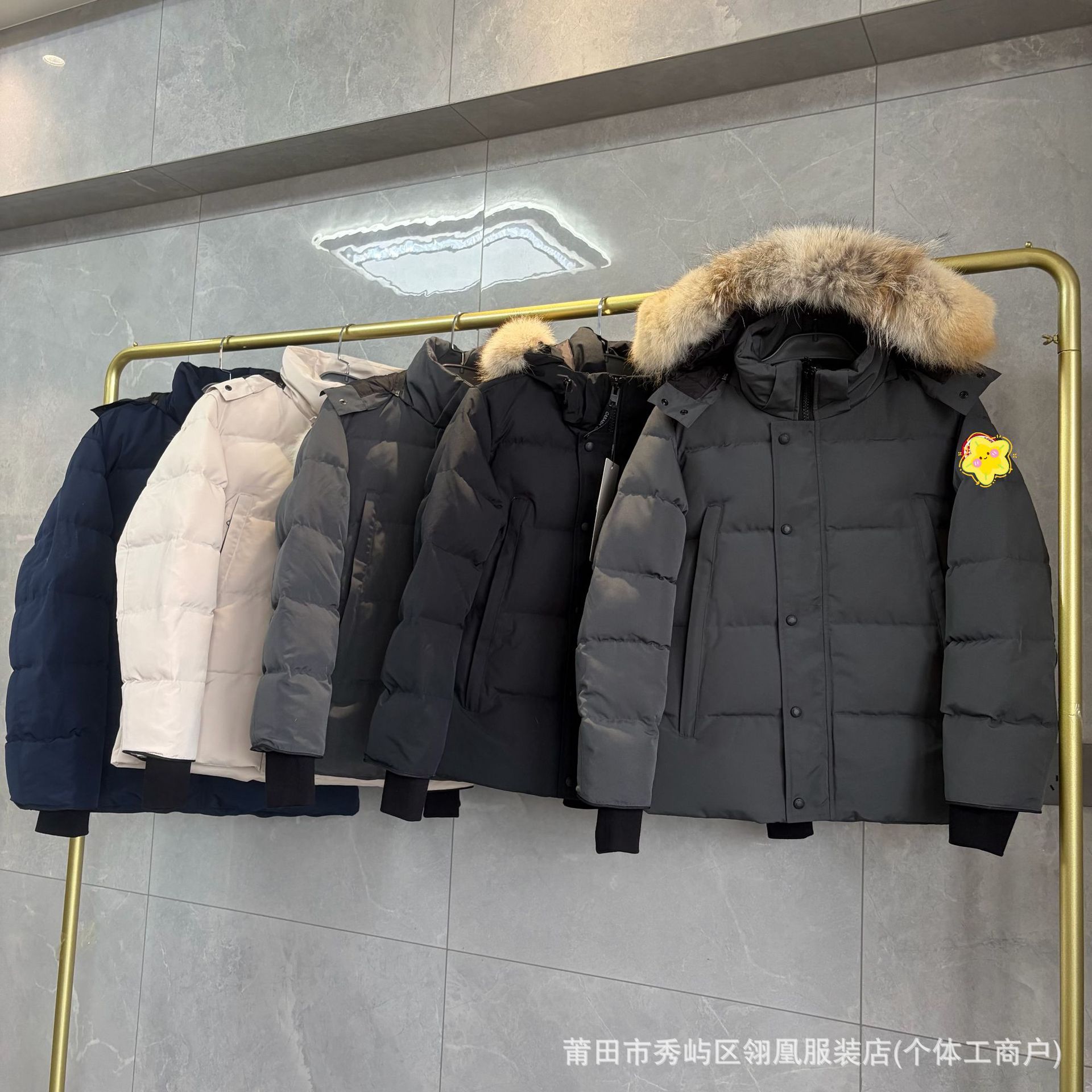 Foreign trade cross-border downjacket Wyndham Canada Goose down jacket, 29 styles, winter men's and women's, 2408