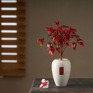 �ͺ��ֺÿ��Ļ������������������L�����҃��������uͨһ������